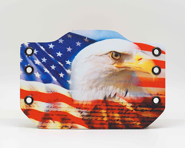 american flag eagle constitution
